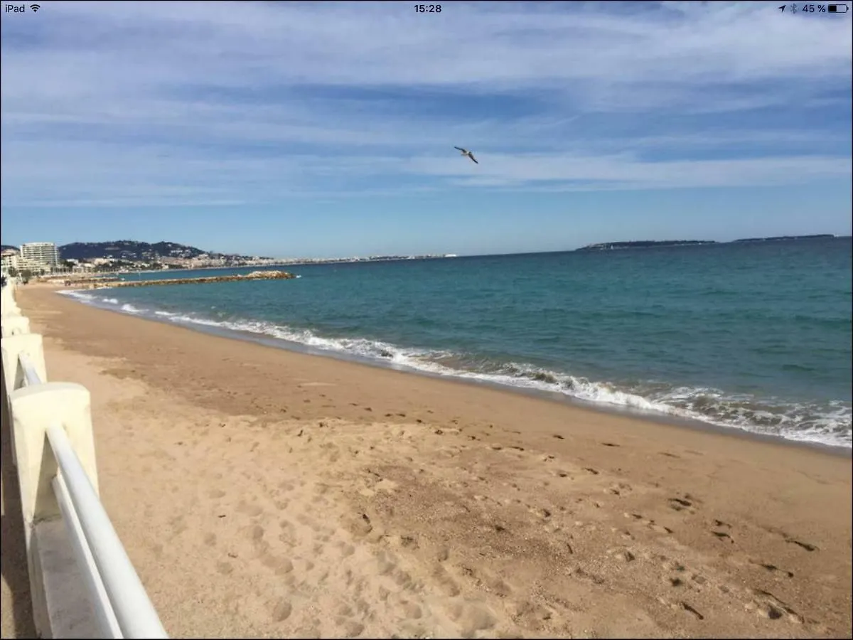 Cannes Vue Mer